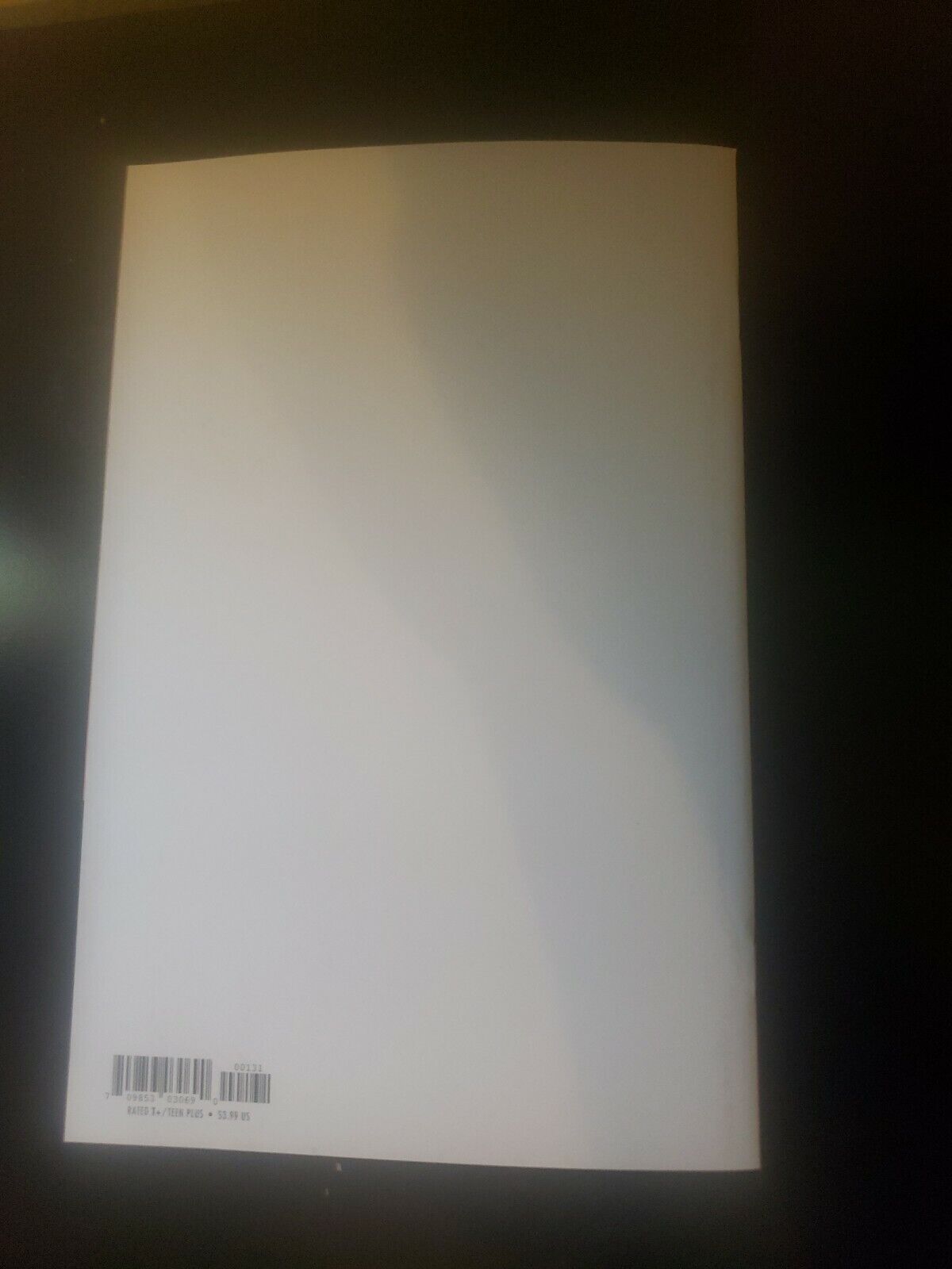 Image Stray Dogs #1 Comic Book Blank Cvr Fleecs Forstner Simpson NM Hot!!!